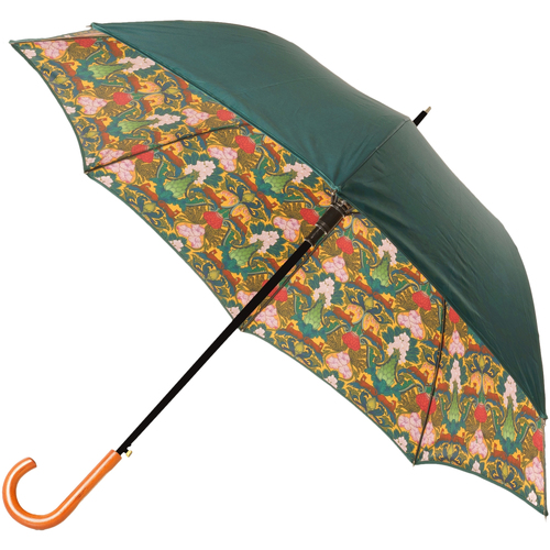 Accessoires textile Femme Parapluies Laurence Llewelyn-Bowen GS234 Vert