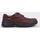 Chaussures Homme Derbies & Richelieu Clarks Rockie2 LoGTX Marron