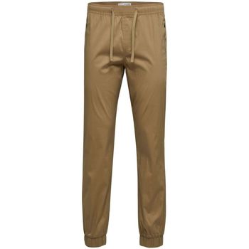 Vêtements Homme Pantalons Selected 16083845 HALKIRK-CHINCHILLA Beige