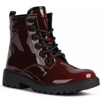 Chaussures Fille Boots Geox BOTTINES  CASEY Bordeaux