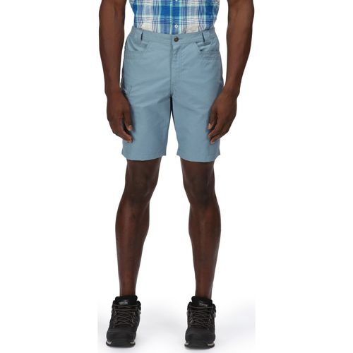 Vêtements Homme Shorts / Bermudas Regatta Delgado Bleu