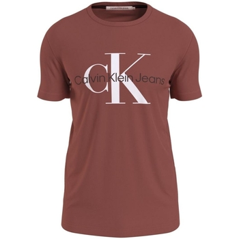 Vêtements Homme T-shirts & Polos Calvin Klein Jeans T Shirt Homme  Ref 56968 XLN Terracotta Rouge