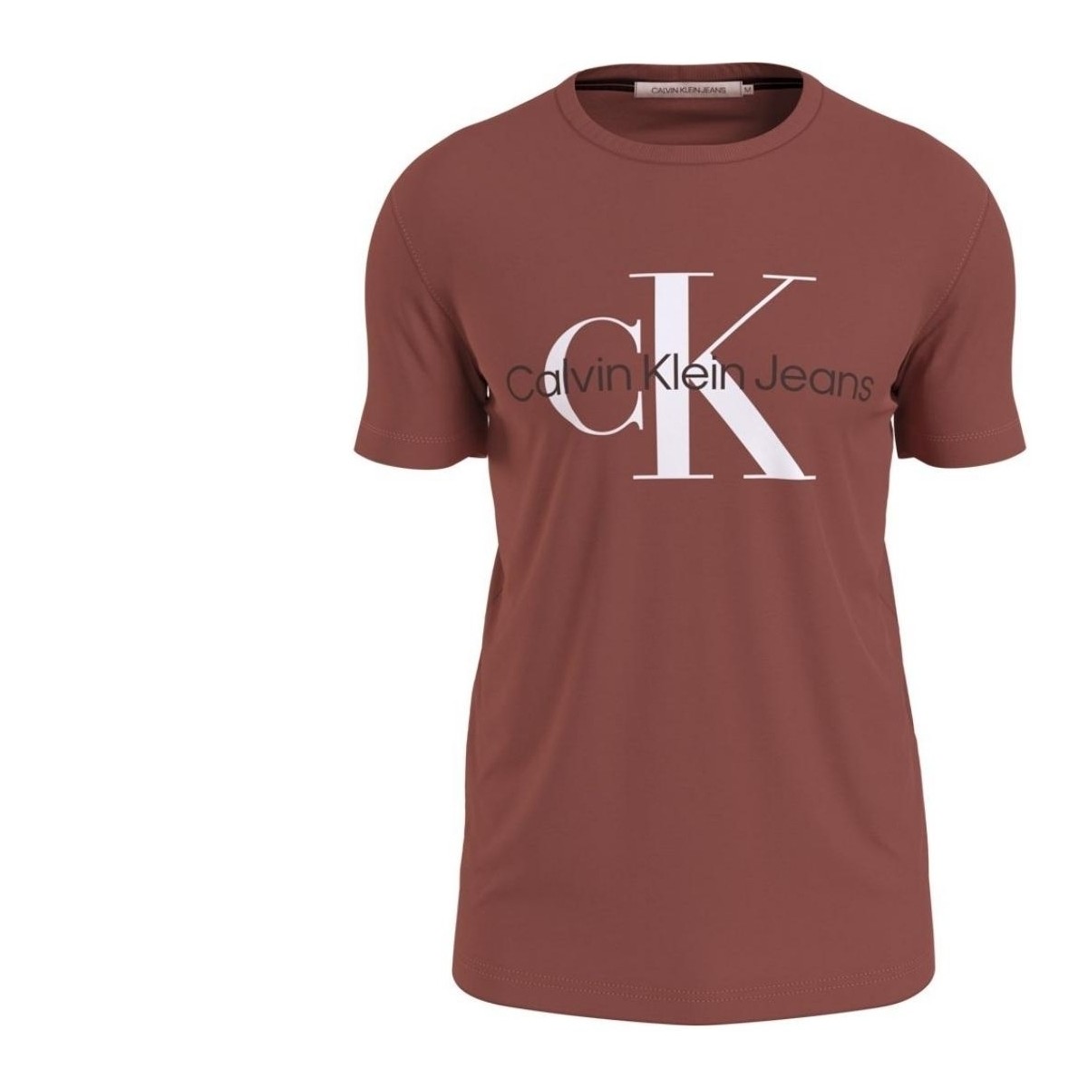 Vêtements Homme T-shirts & Polos Calvin Klein Jeans T Shirt Homme  Ref 56968 XLN Terracotta Rouge