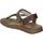 Chaussures Homme Sandales et Nu-pieds Walk & Fly 22-30363 Marron