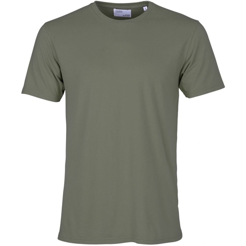 Vêtements T-shirts manches courtes Colorful Standard T-shirt  Classic Organic dusty olive Vert