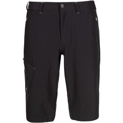 Vêtements Homme Shorts / Bermudas Trespass Locate Noir