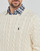 Vêtements Homme Pulls Polo Ralph Lauren LS DRIVER CN-LONG SLEEVE-SWEATER Ecru