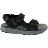 Chaussures Homme Sandales et Nu-pieds Grunland GRU-RRR-SA2630-NE Noir