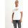 Vêtements Homme T-shirts & Polos Levi's 22489 0277 HOUSEMARK-WHITE Blanc
