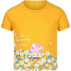 Vêtements Enfant T-shirts manches longues Regatta  Multicolore