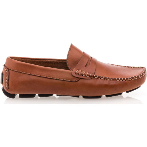 Chaussures Homme Mocassins Alter Native Fitness / Training Marron