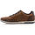 Chaussures Homme Baskets basses Campus Baskets / sneakers gold Homme Marron Marron