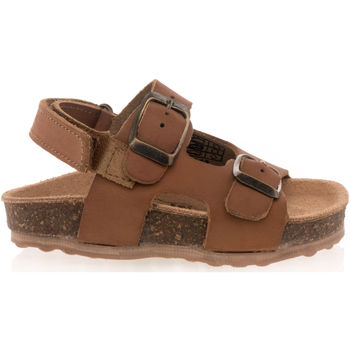 Chaussures Enfant Sandales et Nu-pieds Trek Stone Sandales / nu-pieds Bébé garcon Marron MARRON