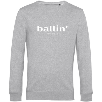 Vêtements Homme Sweats Ballin Est. 2013 Basic Sweater Gris