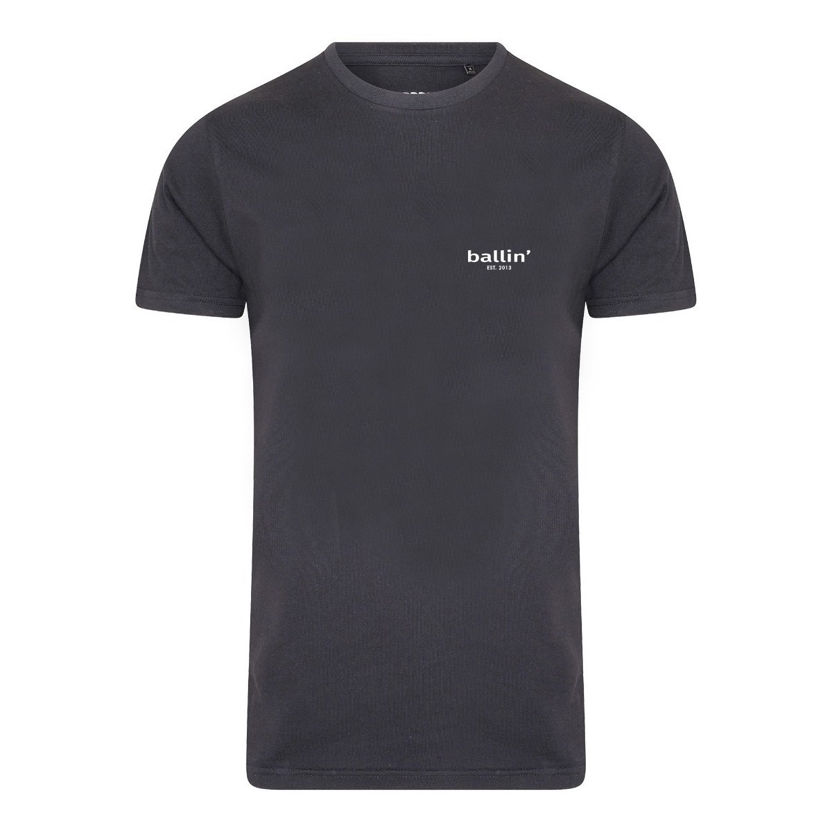 Vêtements Homme T-shirts manches courtes Ballin Est. 2013 Small Logo Shirt Gris