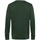 Vêtements Homme Sweats Ballin Est. 2013 Basic Sweater Vert