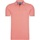 Vêtements Homme Polos manches courtes Mario Russo Tipped Polo Azul Edward Rose