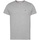 Vêtements Homme T-shirts manches courtes Tommy Jeans Flag Slim Fit Shirt Gris