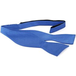 Vêtements Homme Cravates et accessoires Suitable Noeud à Nouer Bleu Moyen F05 Bleu