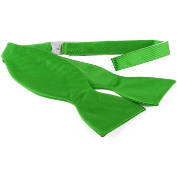 Vêtements Homme Cravates et accessoires Suitable Nœud à Nouer Vert F33 Vert