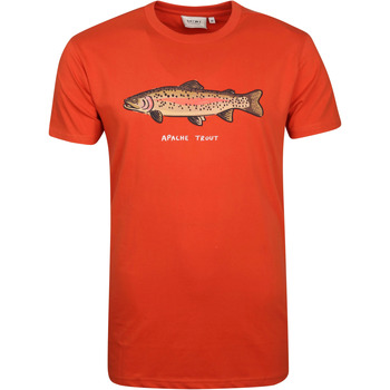 Vêtements Homme T-shirts & Polos Shiwi  Orange