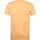 Vêtements Homme T-shirts & Polos Colorful Standard T-shirt Biologique Coloré Orange Clair Orange