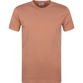 Vêtements Homme T-shirts & Polos Colorful Standard  Marron