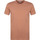 Vêtements Homme T-shirts & Polos Colorful Standard T-shirt Biologique Marron Marron