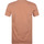 Vêtements Homme T-shirts & Polos Colorful Standard T-shirt Biologique Marron Marron