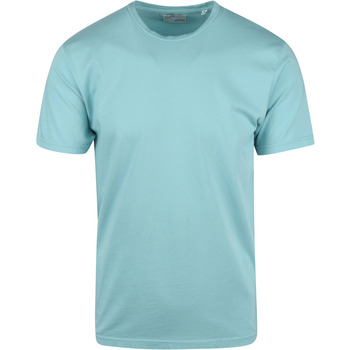 Vêtements Homme T-shirts & Polos Colorful Standard  Bleu