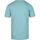Vêtements Homme T-shirts & Polos Colorful Standard T-shirt Biologique Coloré Bleu Bleu