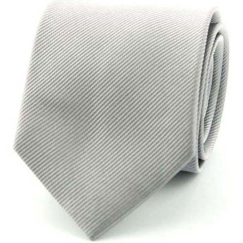 Vêtements Homme Cravates et accessoires Suitable Cravate Soie Argent Uni F48 Argenté