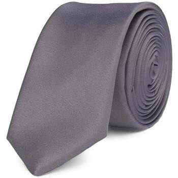 Vêtements Homme Cravates et accessoires Suitable Cravate Gris 1004 Gris