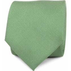 Vêtements Homme Cravates et accessoires Suitable Cravate En Soie Verte K81-10 Vert