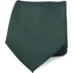 Vêtements Homme Cravates et accessoires Suitable Cravate en soie verte K81-22 Vert