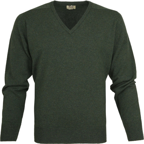 Vêtements Homme Sweats William Lockie Pull Laine d'Agneau Vert Col-V Vert