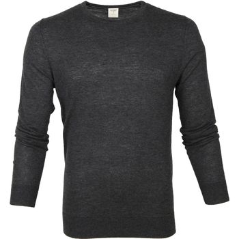 Vêtements Homme Sweats Olymp Pull Level 5 Anthracite Gris