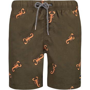 Vêtements Homme Maillots / Shorts de bain Shiwi  Vert