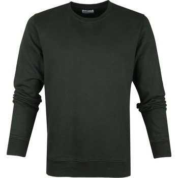 Vêtements Homme Sweats Colorful Standard  Vert