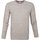 Vêtements Homme Sweats Blue Industry Pull-over Beige Coupe Moderne Beige