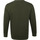 Vêtements Homme Sweats Colorful Standard Pull Vert Algue Vert
