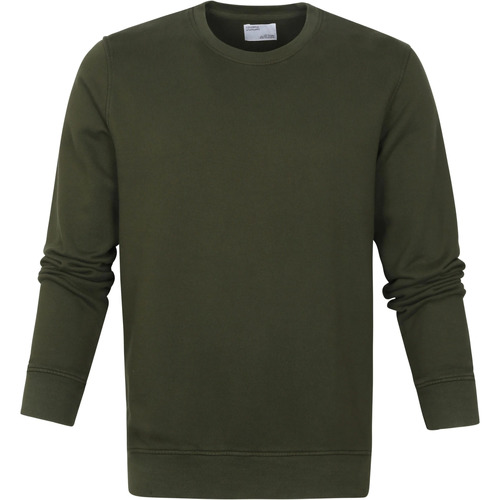 Vêtements Homme Sweats Colorful Standard Pull Vert Algue Vert