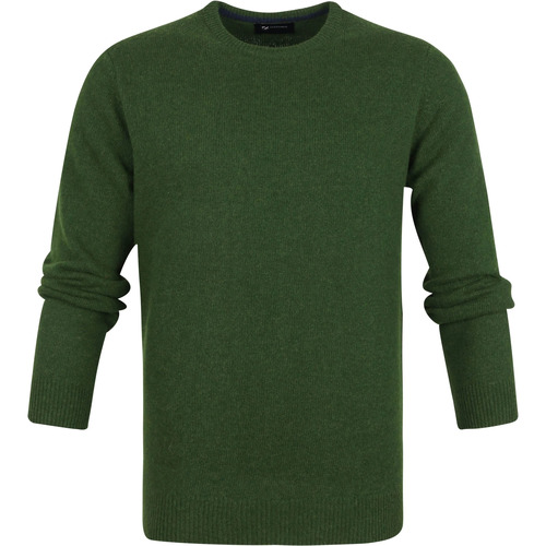 Vêtements Homme Sweats Suitable Pull Agneline Col Rond Vert Vert