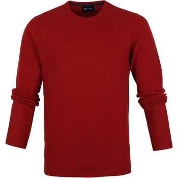 Vêtements Homme Sweats Suitable Sweater Jerry Vert Rouge