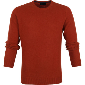 Vêtements Homme Sweats Suitable Pull Agneline Col Rond Orange Brique Orange