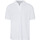 Vêtements Homme T-shirts & Polos Brax Polo Blanc Blanc