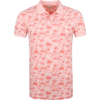 Vêtements Homme T-shirts & Polos Dstrezzed Polo Piqué Bowie Palm Rose Rose