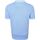 Vêtements Homme T-shirts & Polos Suitable Respect Polo club Pete Bleu Bleu