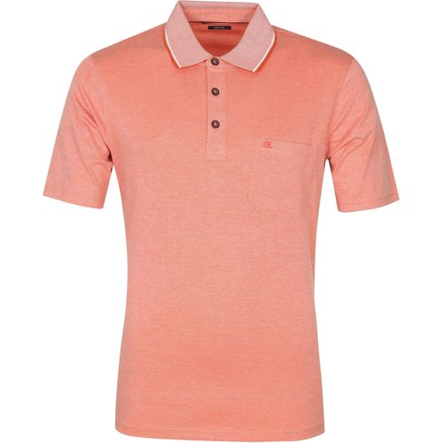 Vêtements Homme T-shirts & Polos Casa Moda Polo Orange Mélangé Orange