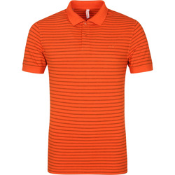 Vêtements Homme OFFREZ LA MODE EN CADEAU Sun68 Polo Cold Dye Rayures Orange Orange